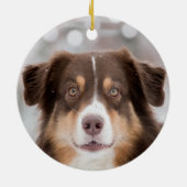 オーストラリアカスタムの羊飼い犬の写真 セラミックオーナメント (裏面)