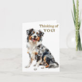 オーストラリアカラフルの羊飼いグリーティングカード カード (正面)