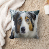 オーストラリアシェパードイン・スノー クッション (ブランケット)