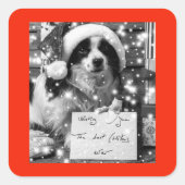 オーストラリアシェパードスクエアステッカー スクエアシール (正面)