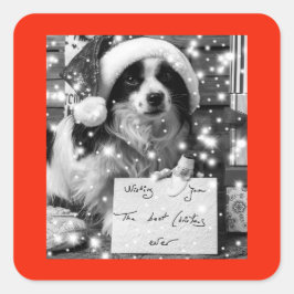 オーストラリアシェパードスクエアステッカー スクエアシール