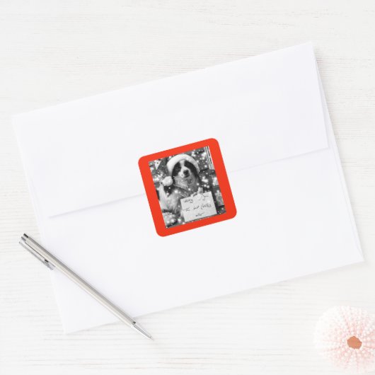 オーストラリアシェパードスクエアステッカー スクエアシール (封筒)