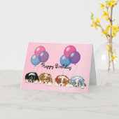 オーストラリアシェパードパッピーズハッピーバースデー カード (黄色い花)