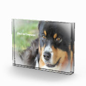 オーストラリアシェパード犬。 フォトブロック (右)