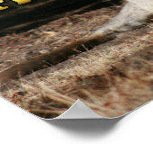 オーストラリアスタイルクリスマスカンガルー ポスター (角)