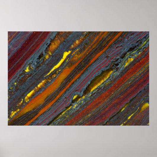 オーストラリアストライプのタイガーアイ ポスター (正面)