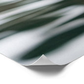 オーストラリアドロップベアーコアラ ポスター (角)