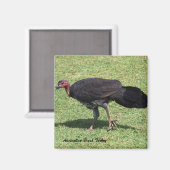 オーストラリアブラシ（ブッシュ）トルコ マグネット (正面/裏面)