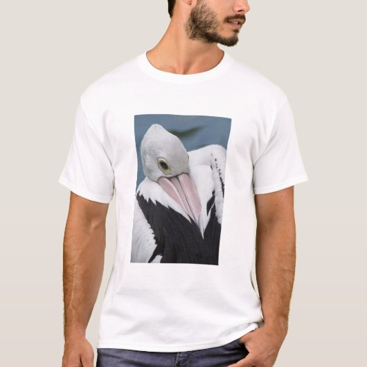 オーストラリアペリカンのクローズアップ Tシャツ (正面)