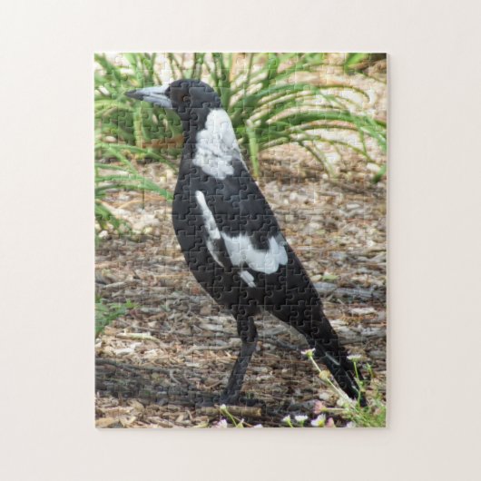 オーストラリアマグピーパズル ジグソーパズル (縦)