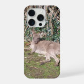 オーストラリアワラビー iPhone 15 Pro ケース (裏面)