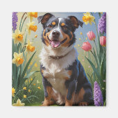 オーストラリアン・キャトル・ドッグ 春の花の絵画 マグネット (正面)
