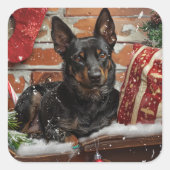 オーストラリアン・ケルピー 犬 クリスマス スクエアシール (正面)