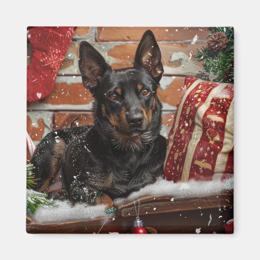 オーストラリアン・ケルピー 犬 クリスマス  マグネット (正面)
