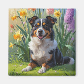 オーストラリアン・ケルピー 犬 春の花の絵画 マグネット (正面)