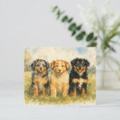 オーストラリアン・シェパードの水彩画トリオ - 牧場にて (スタンド正面)