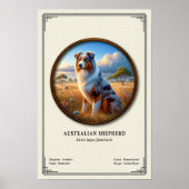 オーストラリアン・シェパード動物学シリーズ ポスター (正面)