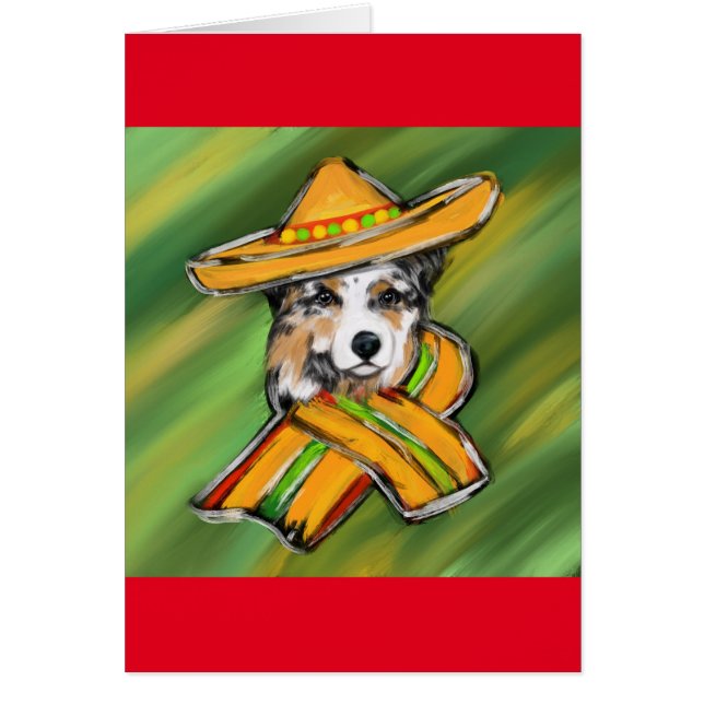 オーストラリアン・シェパード (正面)