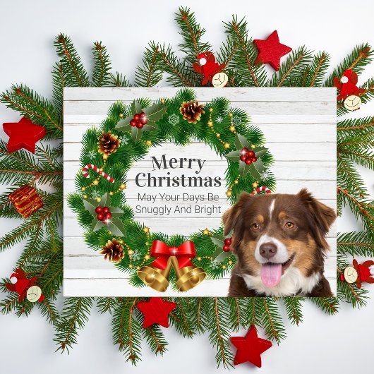 オーストラリアン・シェパード クリスマス