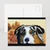 オーストラリアン・シェパード ポストカード (正面/裏面)