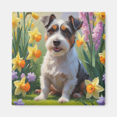 オーストラリアン・テリアの犬と春の花の絵 マグネット (正面)