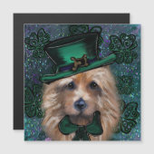 オーストラリアン・テリア (正面/裏面)