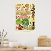 オーストラリアヴィンテージ素晴らしバリアリーフ ポスター (キッチン)