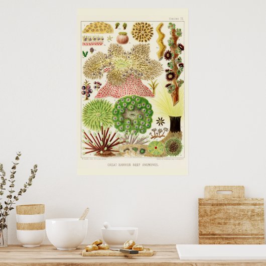 オーストラリアヴィンテージ素晴らしバリアリーフ ポスター (キッチン)