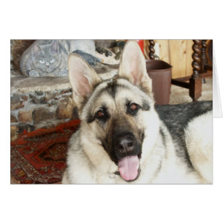 オーストラリア人の近い上り