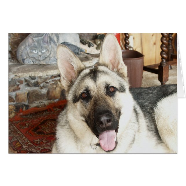 オーストラリア人の近い上り (正面横)