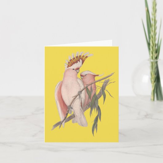 オーストラリア人のGalahカードジョンGould カード (正面)