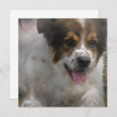 オーストラリア人のSheherdの子犬の招待状 招待状 (正面/裏面)