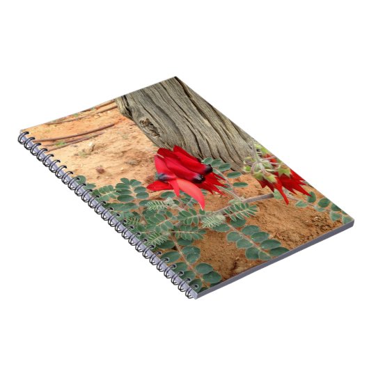 オーストラリア人のSturtの砂漠エンドウ豆のノート ノートブック (右側)