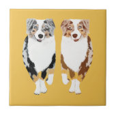 オーストラリア人は4つをセラミックタイル導きます タイル (正面)