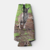 オーストラリア人男性カンガルー ボトルクーラー (裏面)