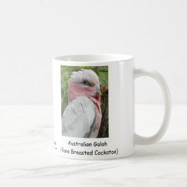 オーストラリア人Galah (Breastedのばら色のオウム) コーヒーマグカップ
