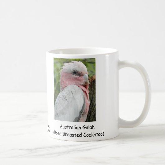 オーストラリア人Galah (Breastedのばら色のオウム) コーヒーマグカップ (右)