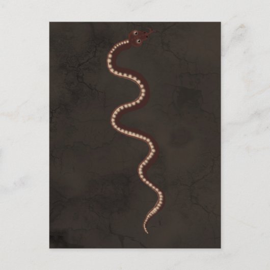 オーストラリア先住民の砂漠のスネークアート ポストカード (正面)
