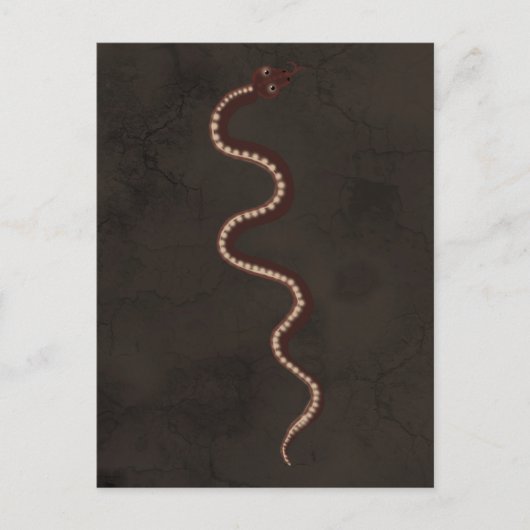 オーストラリア先住民の砂漠のスネークアート ポストカード (正面)