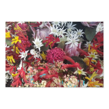 オーストラリア先住民の花