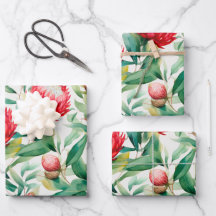 オーストラリア先住民プロテアフラワー