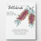 オーストラリア先住民ボトルブラシ植物芸術 フォトプラーク (正面)