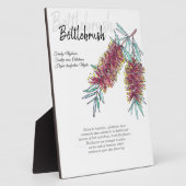 オーストラリア先住民ボトルブラシ植物芸術 フォトプラーク (側面)