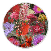 オーストラリア先住民ワイルドフラワーラウンド セラミックノブ (正面)