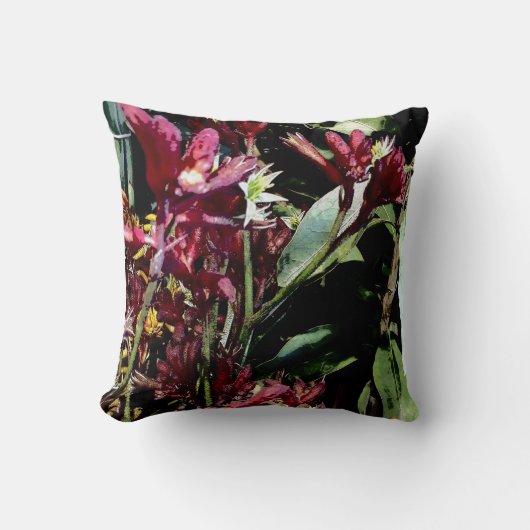 オーストラリア先住民花第6位「カンガルー前足」 クッション (正面)