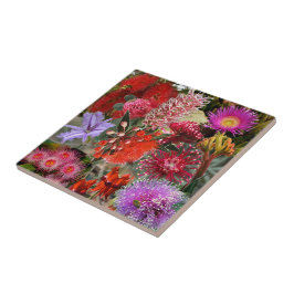 オーストラリア先住民野生の花 タイル