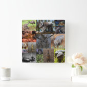 オーストラリア動物写真コラージュ壁時計 スクエア壁時計 (ホーム)