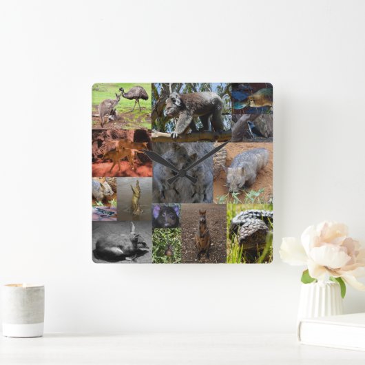 オーストラリア動物写真コラージュ壁時計 スクエア壁時計 (ホーム)