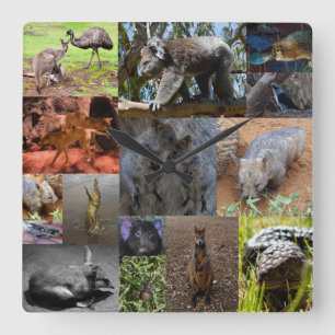 オーストラリア動物写真コラージュ壁時計 スクエア壁時計