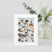 オーストラリア動物図 ポストカード (スタンド正面)